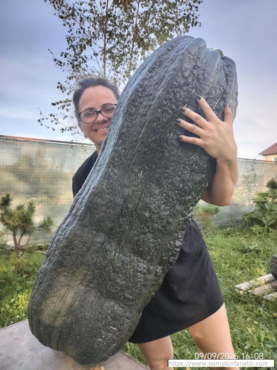 fruitImages/64.93 Dogadaeva 2025B.jpg